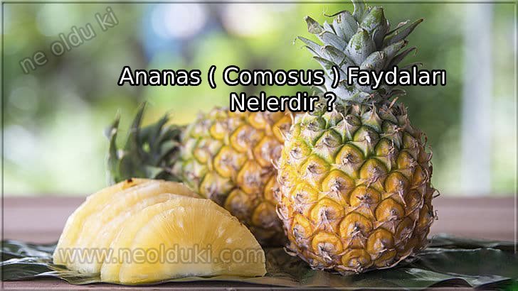 Ananas ( Comosus ) Faydaları Nelerdir ?