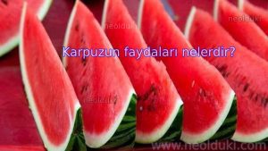 Karpuzun faydaları nelerdir?