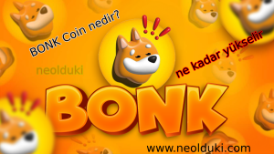 BONK Coin nedir,nasıl çalışır, fiyat tahmini?