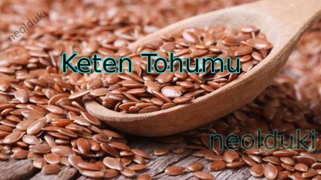 Keten Tohumunun Faydaları