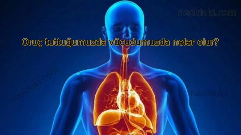 Oruç tuttuğumuzda vücudumuzda neler olur?