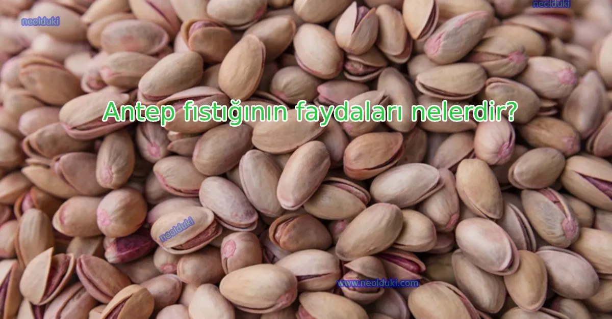 Antep fıstığının faydaları nelerdir?