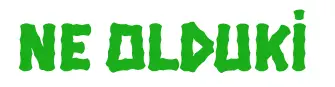 NE OLDU Kİ